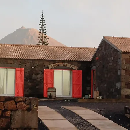 Bed & Breakfast Ocean Breeze