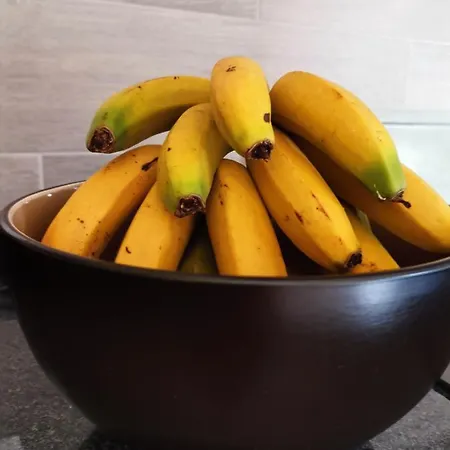 Ocean Breeze Bed & Breakfast 3*